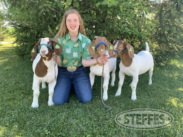 Haley Lampe, Meat Goat, Champion & Reserve Market Goat 